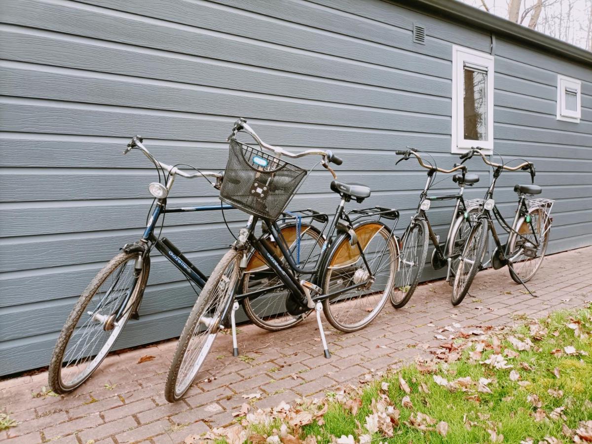 4P Chalet Tolve Met 4 Fietsen Vlakbij Natuurgebieden Drents Friese Wold, Fochteloerveen En Gevangenisdorp Veenhuizen Oosterwolde (Friesland) Exterior foto