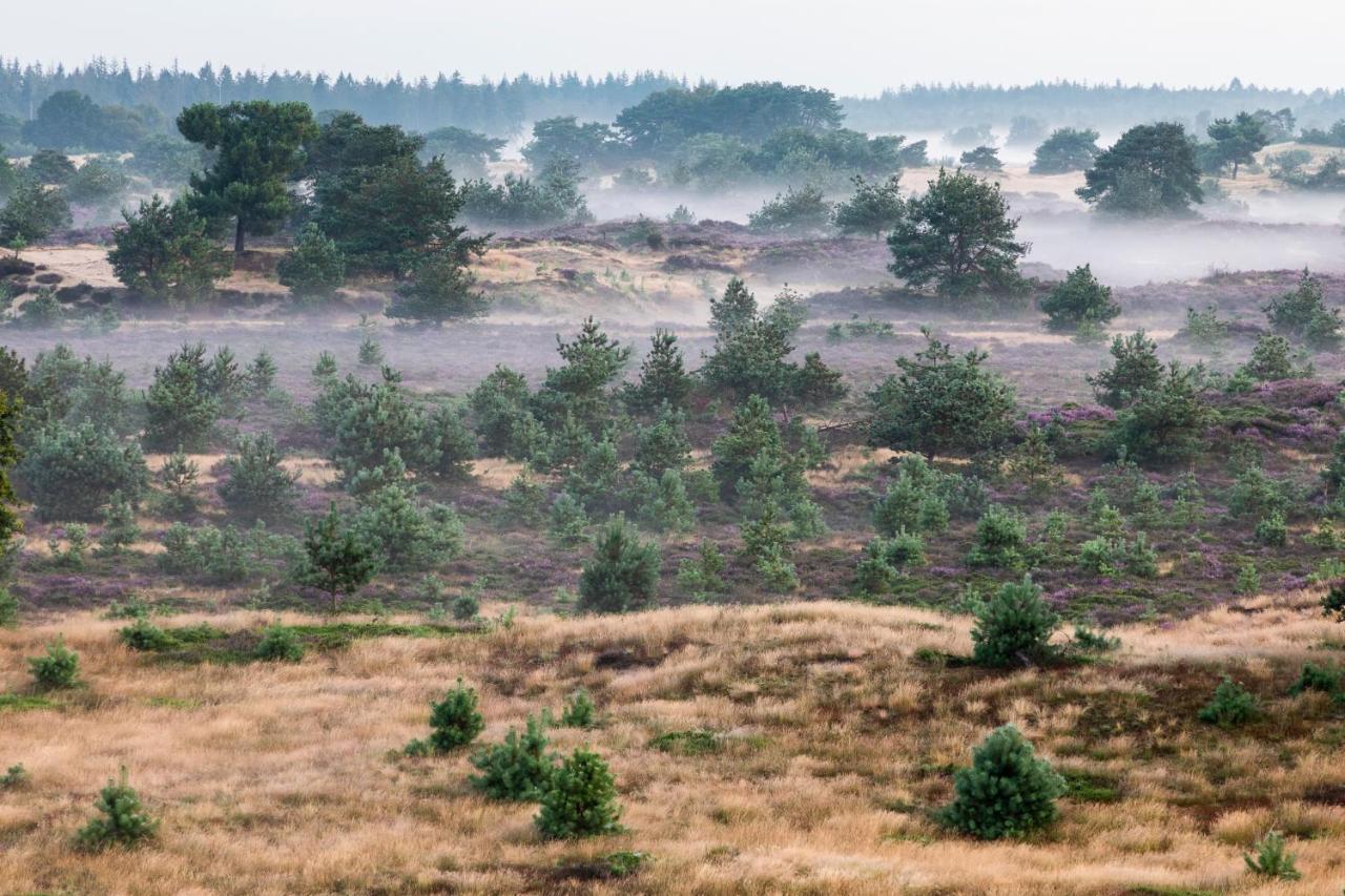 4P Chalet Tolve Met 4 Fietsen Vlakbij Natuurgebieden Drents Friese Wold, Fochteloerveen En Gevangenisdorp Veenhuizen Oosterwolde (Friesland) Exterior foto